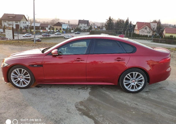 Jaguar XF cena 73900 przebieg: 131000, rok produkcji 2015 z Tuchów małe 37